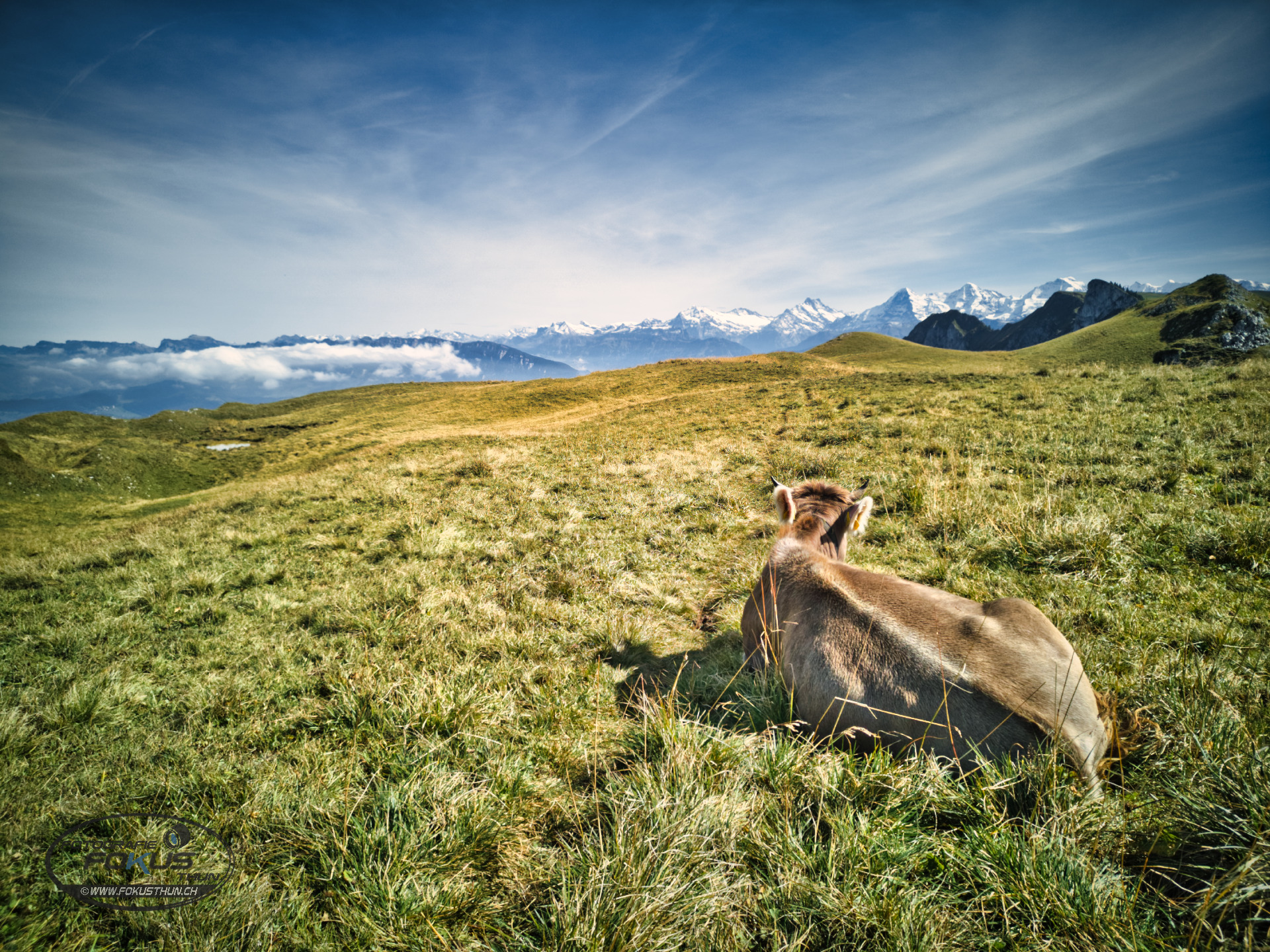 Walalpgrat - Stockhorn